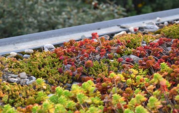 the cost of Buttington green roof installation