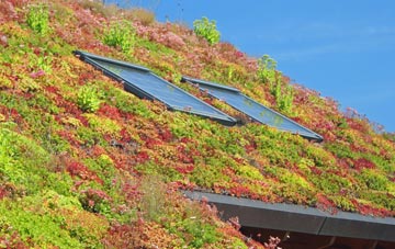 Buttington living roof systems
